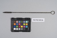 藏品(通針)的圖片