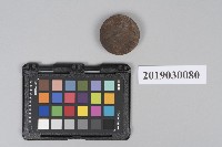 藏品(潤滑油)的圖片