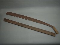 藏品(五齒鋸)的圖片