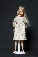 藏品(客家娃娃)的圖片