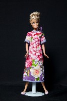 藏品(客家娃娃)的圖片