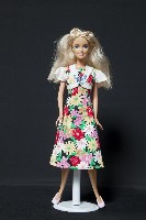 藏品(客家娃娃)的圖片