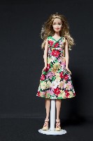 藏品(客家娃娃)的圖片