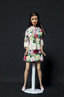 藏品(客家娃娃)的圖片