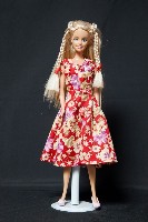 藏品(客家娃娃)的圖片