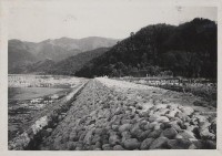 藏品()的圖片