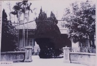 藏品()的圖片