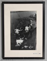 藏品(鄧南光攝影：洗衫㈡)的圖片