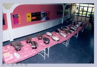 藏品(吳濁流作品國際研討會4)的圖片