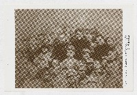 館藏編號:2008.006.0826的藏品圖