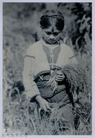 藏品(南條博明相片集：手持小米穗之泰雅族少女)的圖片