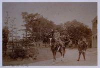 藏品(南條博明相片集：昭和天皇任太子時於公園巡視)的圖片