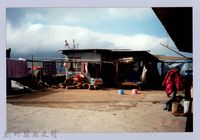 藏品(泰崗部落一景 1)的圖片