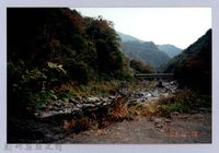 藏品(泰崗部落一景 5)的圖片