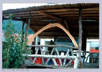 藏品(林柏燕老師與部落族人)的圖片