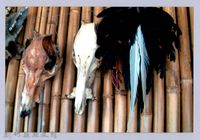 藏品(泰崗部落族人的文物館)的圖片