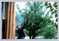 藏品(古慧君閉眼放獵槍)的圖片