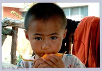 藏品(泰崗部落族人)的圖片