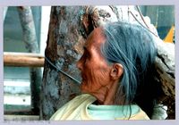 藏品(泰崗長老)的圖片