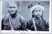藏品(理蕃志稿老照片─生蕃種族其四（パイワン族ノ男女）)的圖片