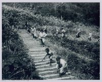 藏品(李崠山圖照6-隘勇隊進攻蕃地)的圖片