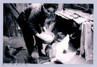 藏品(鄧雨賢相關照片10：餵雞)的圖片