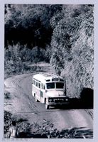 藏品(鄧雨賢相關照片19：客運巴士)的圖片