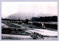 藏品(鄧雨賢相關照片36：木料貯存場)的圖片