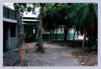 藏品(鄧雨賢相關照片52：竹東林業展示館一隅)的圖片