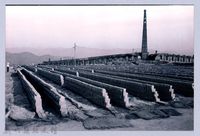 藏品(鄧雨賢相關照片91：承興磚窯廠2)的圖片