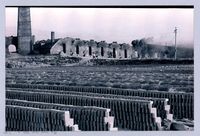 藏品(鄧雨賢相關照片93：承興磚窯廠1)的圖片