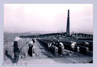 藏品(鄧雨賢相關照片95：排磚)的圖片