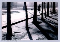 藏品(鄧雨賢相關照片133：樹旁行走的女子)的圖片