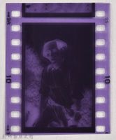 藏品(龍瑛宗翻拍照10：底片1)的圖片