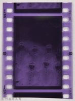 藏品(龍瑛宗翻拍照18：底片4)的圖片