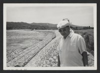 藏品(縣長巡視工地情形-2)的圖片