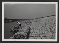 藏品(鳳山溪大眉堤防復原工程(堤防復原400M)-施工中1)的圖片