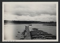 藏品(鳳山溪樟樹叢堤防復原工程(堤防復原428M丁埧復原3座)-施工前1)的圖片