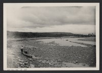 藏品(鳳山溪樟樹叢堤防復原工程(堤防復原428M丁埧復原3座)-施工前2)的圖片