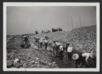 藏品(鳳山溪樟樹叢堤防復原工程(堤防復原428M丁埧復原3座)-施工中2)的圖片