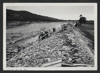 藏品(鳳山溪新埔堤防復原工程(堤防復原185M)-施工中2)的圖片