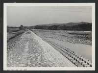 藏品(鳳山溪新埔堤防復原工程(堤防復原185M)-施工後1)的圖片