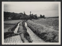 藏品(鳳山溪六股堤防復原工程(堤防復原300M)-施工中1)的圖片