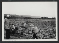 藏品(鳳山溪六股堤防復原工程(堤防復原300M)-施工中2)的圖片