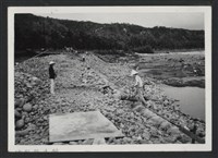 藏品(鳳山溪石岡子堤防復原工程(堤防復原389M丁埧復原2座)-施工中2)的圖片