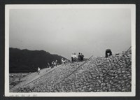 藏品(鳳山溪茅子埔堤防復原工程(堤防復原232M丁埧復原2座)-施工中1)的圖片