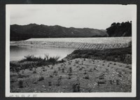 藏品(鳳山溪茅子埔堤防復原工程(堤防復原232M丁埧復原2座)-施工後)的圖片