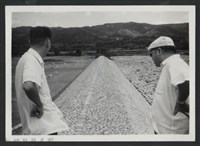 藏品(鳳山溪渡三坡堤防復原工程(堤防復原250M)-施工後)的圖片