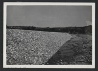 藏品(鳳山溪霄裡溪巨埔復原工程(堤防復原200M)-施工後1)的圖片