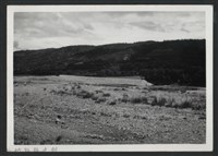 藏品(鳳山溪霄裡溪巨埔復原工程(堤防復原200M)-施工後2)的圖片